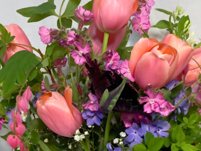 Learning & Education