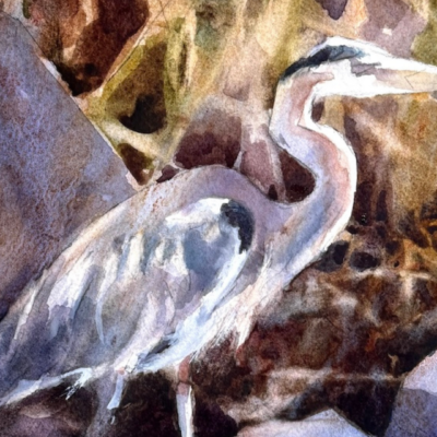 Learning & Education